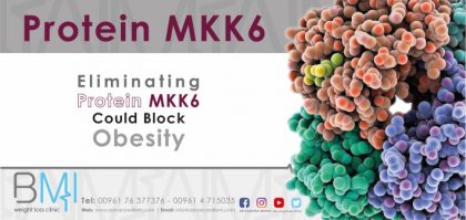 Eliminating Protein MKK6 Could Block Obesity
